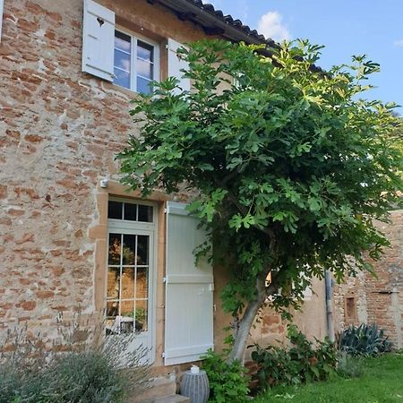 Le Gite Du Carge D'Arlay Charnay-les-Macon ภายนอก รูปภาพ