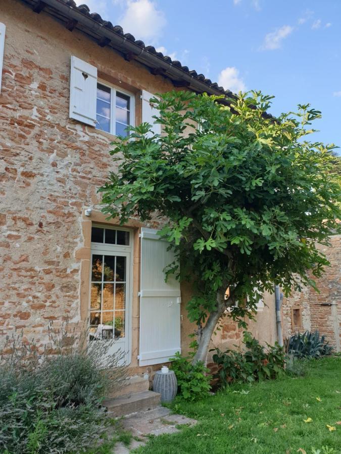 Le Gite Du Carge D'Arlay Charnay-les-Macon ภายนอก รูปภาพ